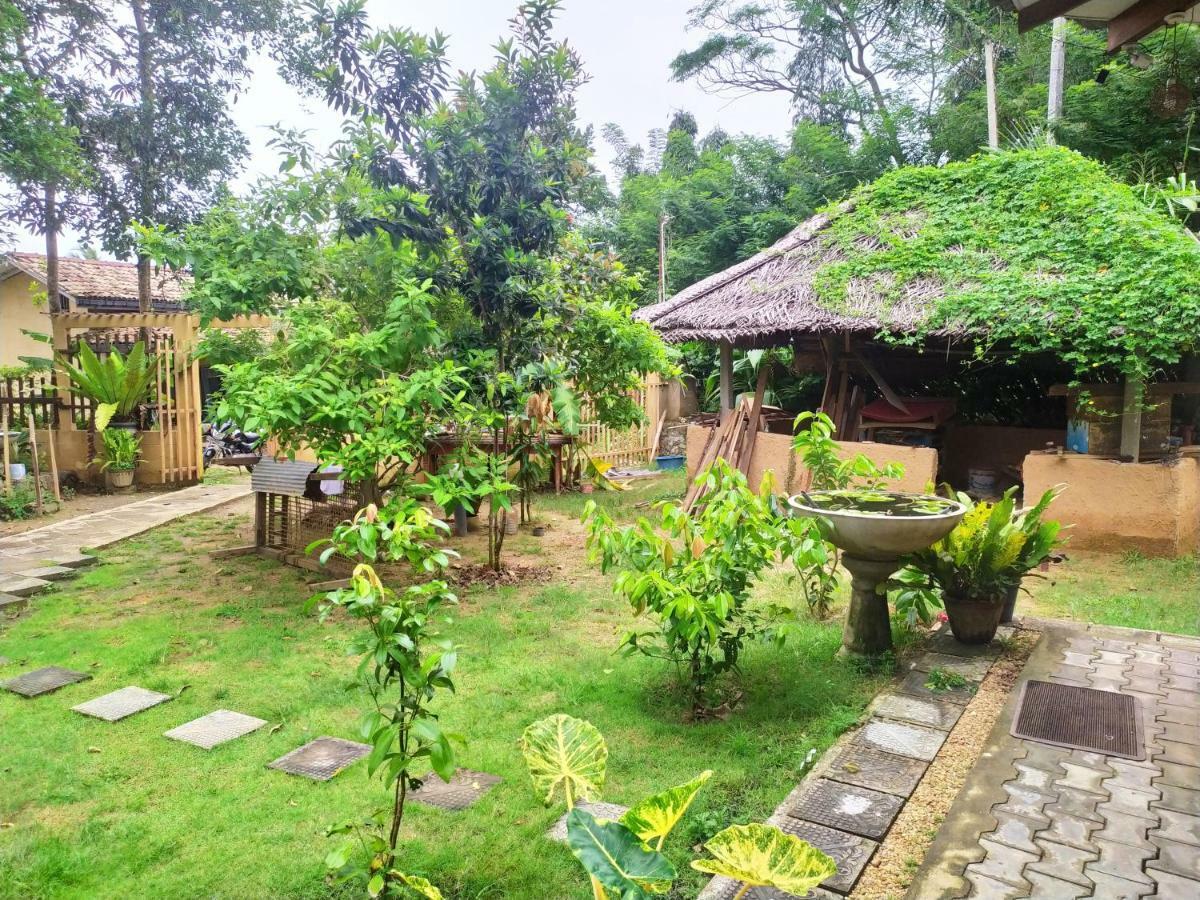Cinnamon House Hiriketiya Dikwella Exteriér fotografie